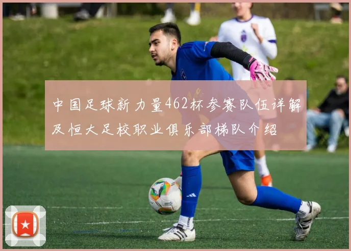 中国足球新力量462杯参赛队伍详解及恒大足校职业俱乐部梯队介绍